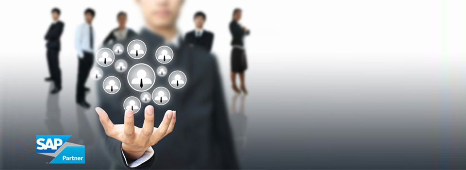 sap_crm_banner_w7341